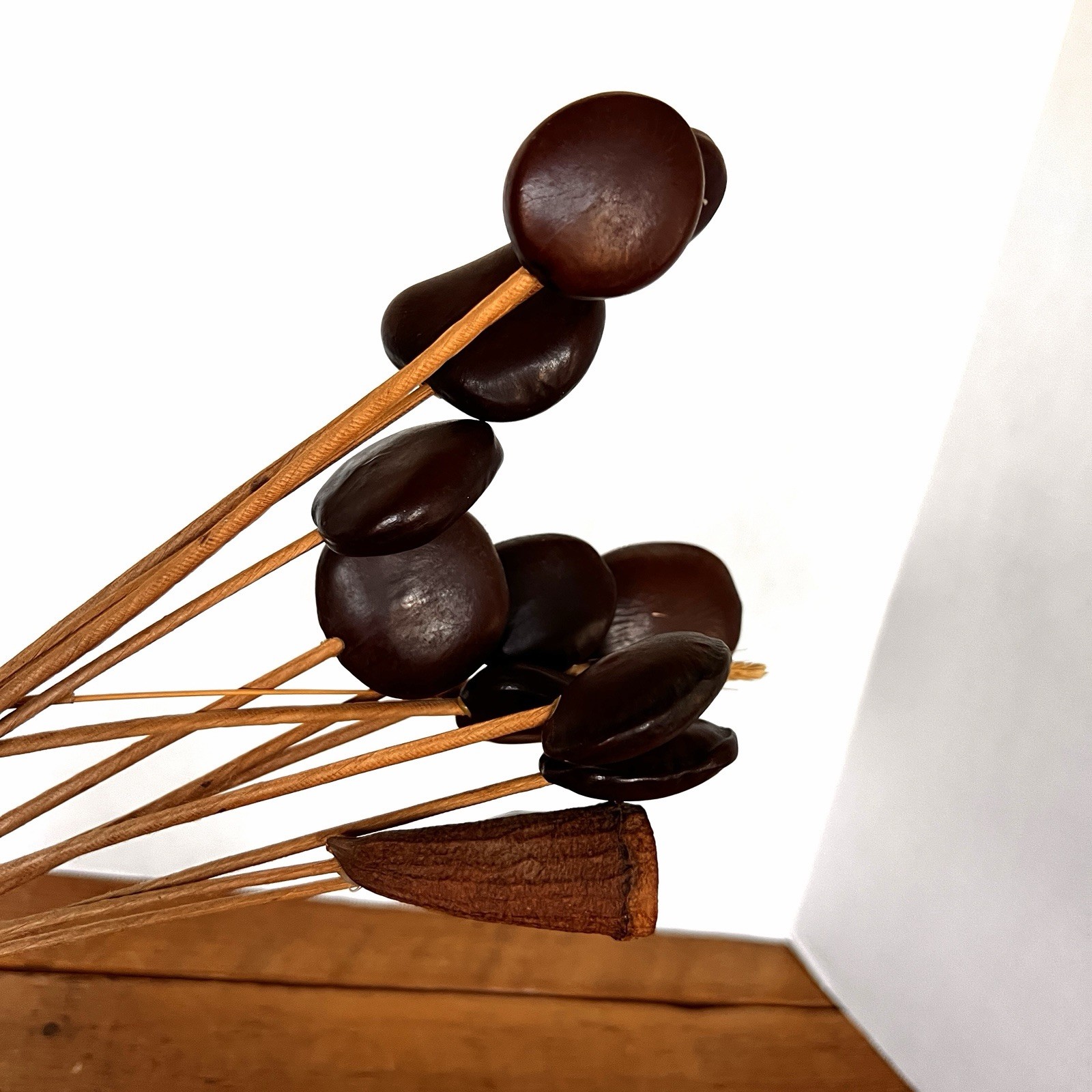 Wood Seed Pods W/Stem (11x) For Floral Arrangements Vases Decor MCM
