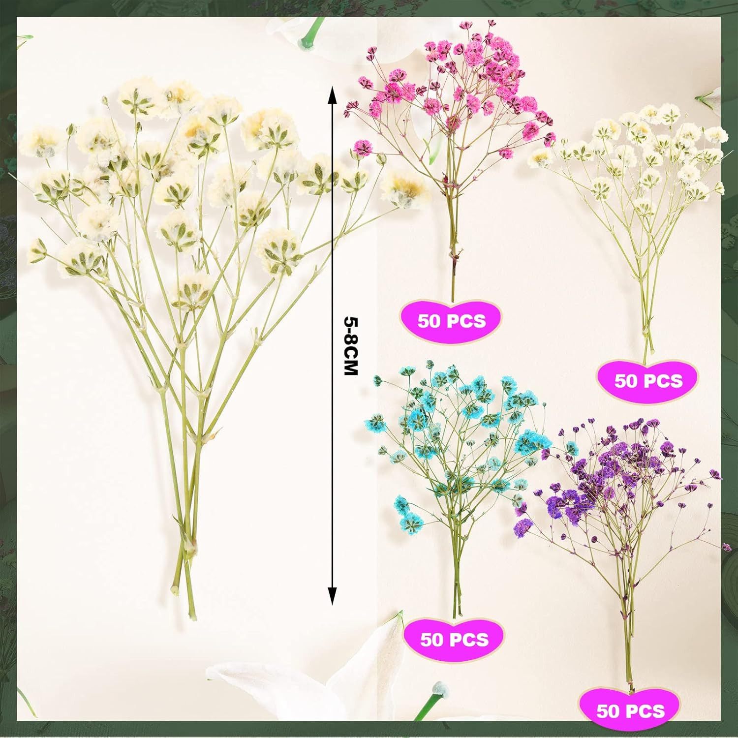 200 Pcs Dried Baby’S Breath Flowers Preserved Baby’S Breath Pressed Gypsophila B