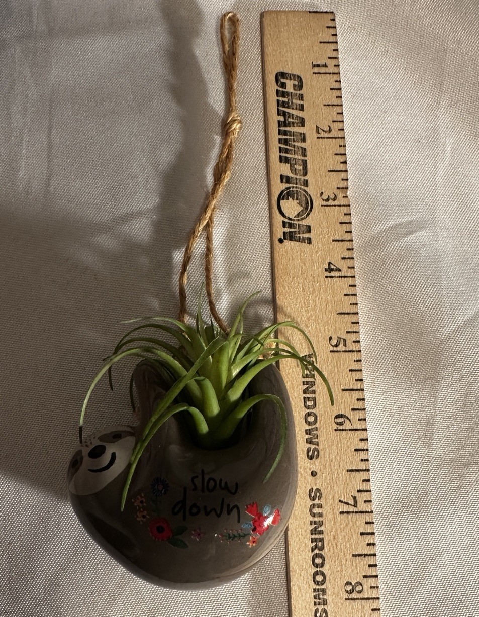 Sloth 🦥Grey Mini Hanging Critter Faux Air Plant Succulent Natural Life Collect