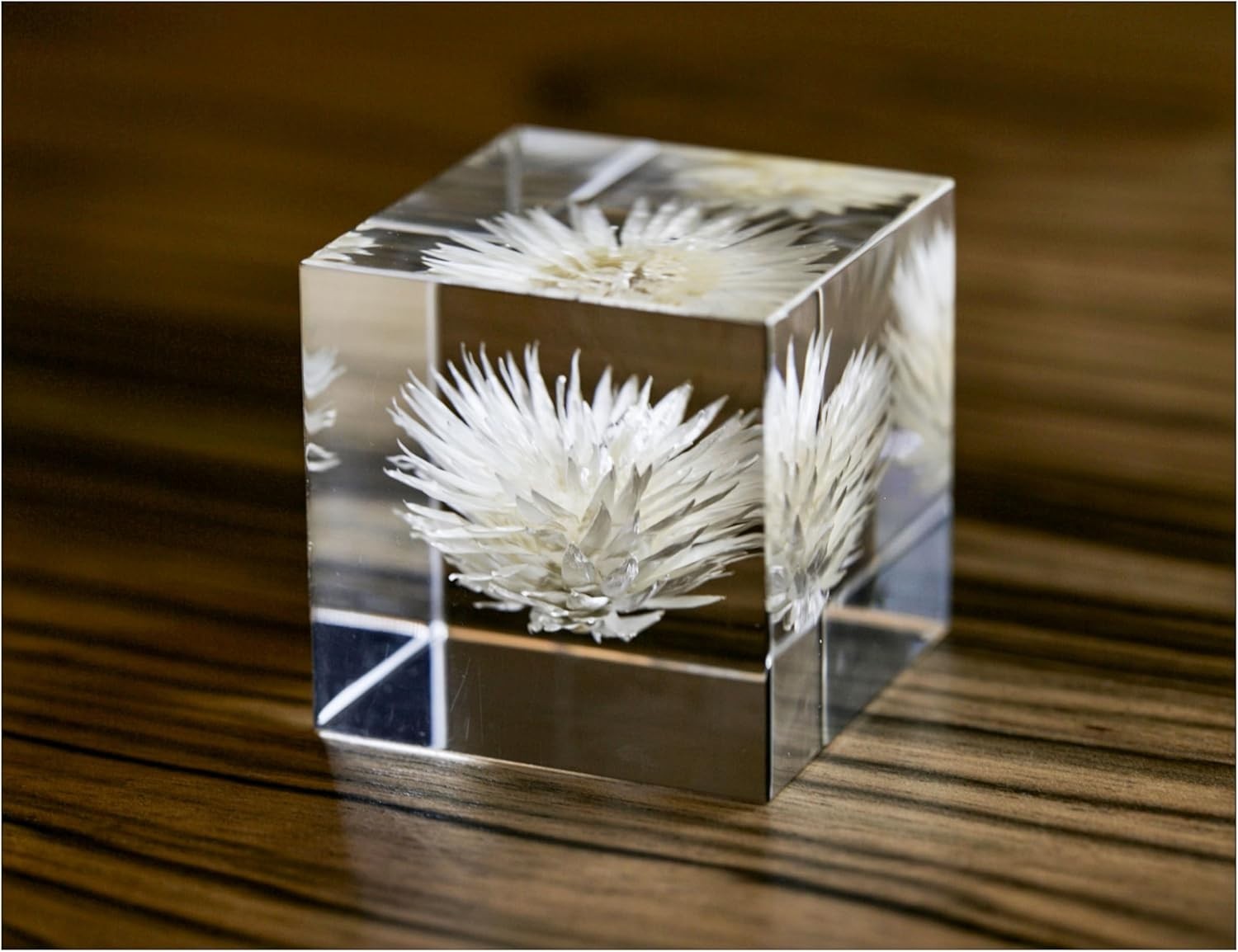 Luxury Natural Real Flowers/Seeds/Plants in Acrylic (not Epoxy Resin), 5CM / 2″