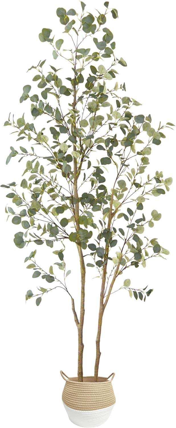 Lifelike 8ft Eucalyptus Silk Plant with Adjustable Shape – Indoor/Outdoor Beauty