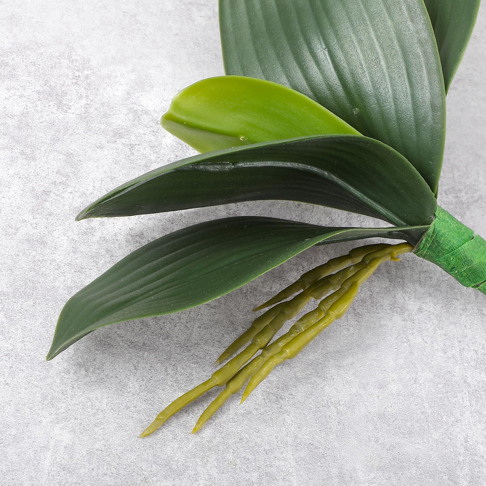 2 Pcs Orchid Leaves Artificial Real Touch Faux Phalaenopsis Stems Leaf 8 Inch…