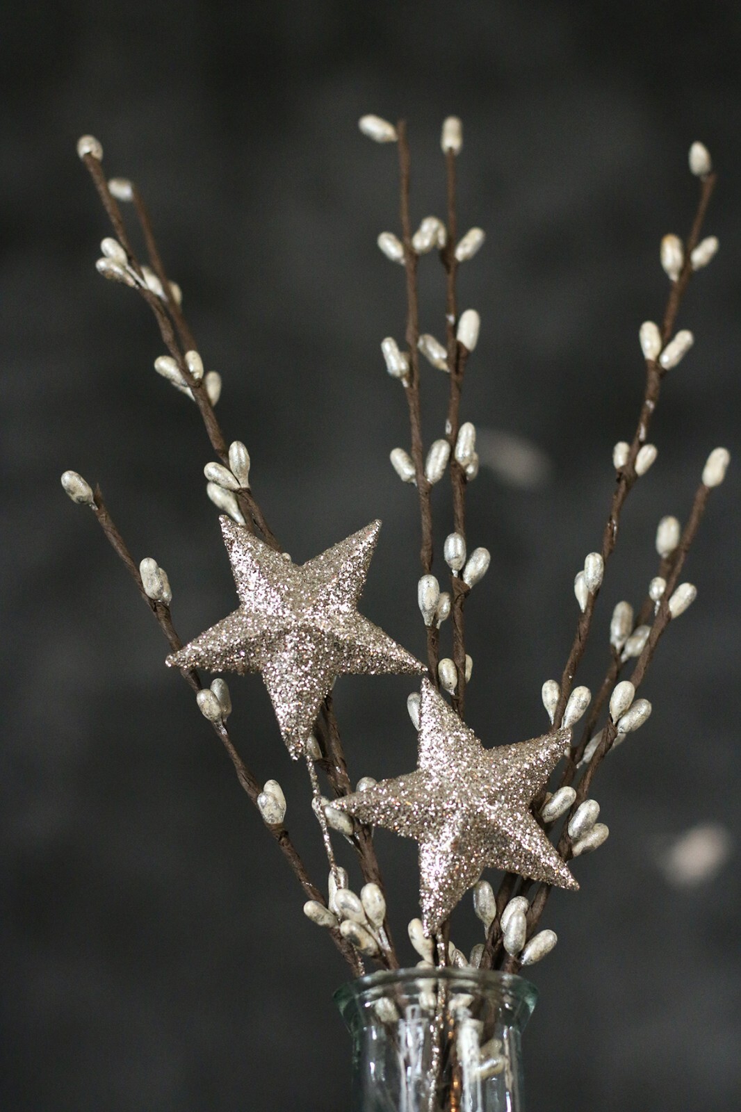 Pip Berry Floral Picks (Set/2) Platinum Silver with Glittered Stars 12 inch
