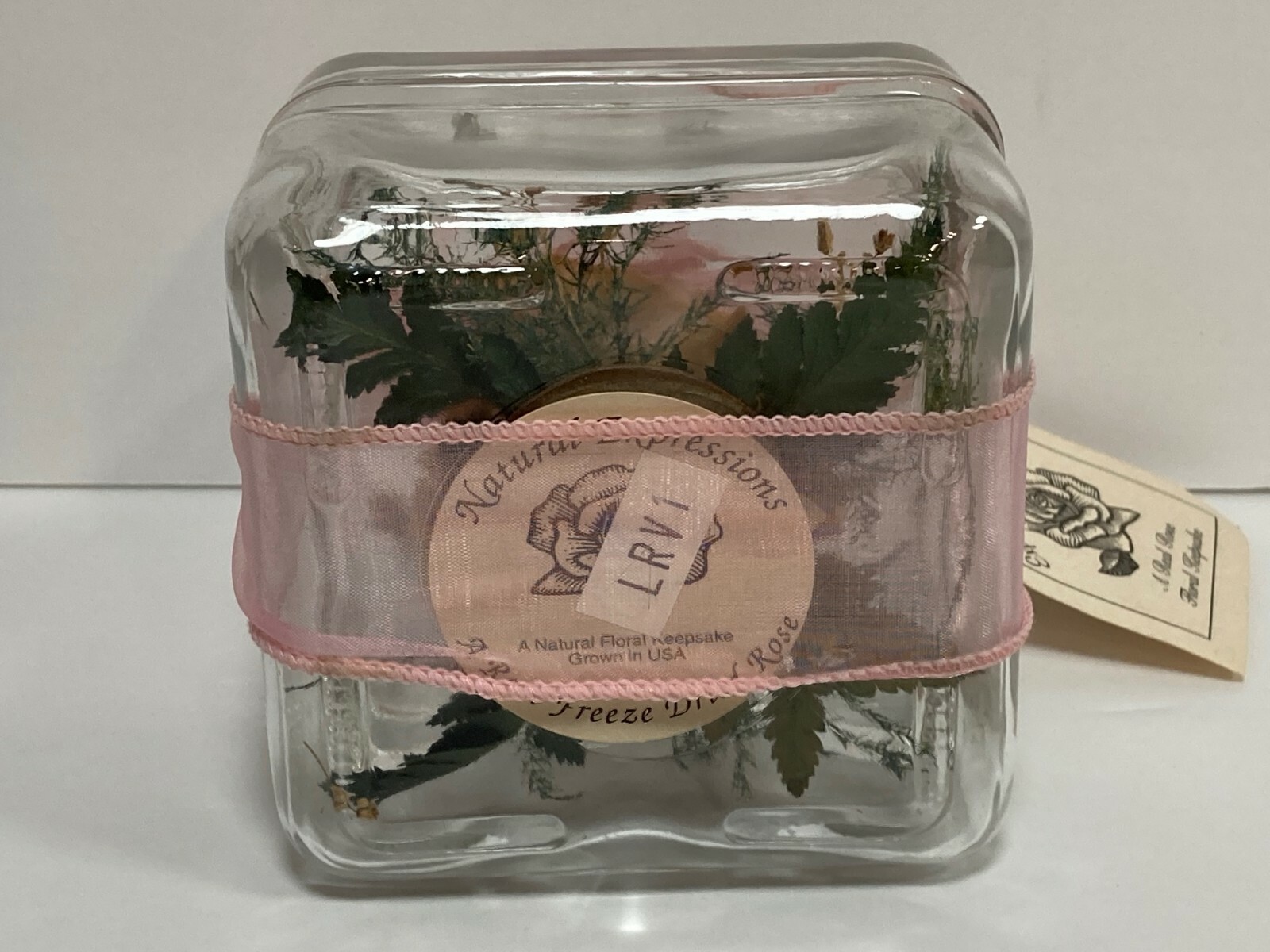 Vintage Natural Expressions. Real Freeze Dried Rose. Glass Floral Keepsake.