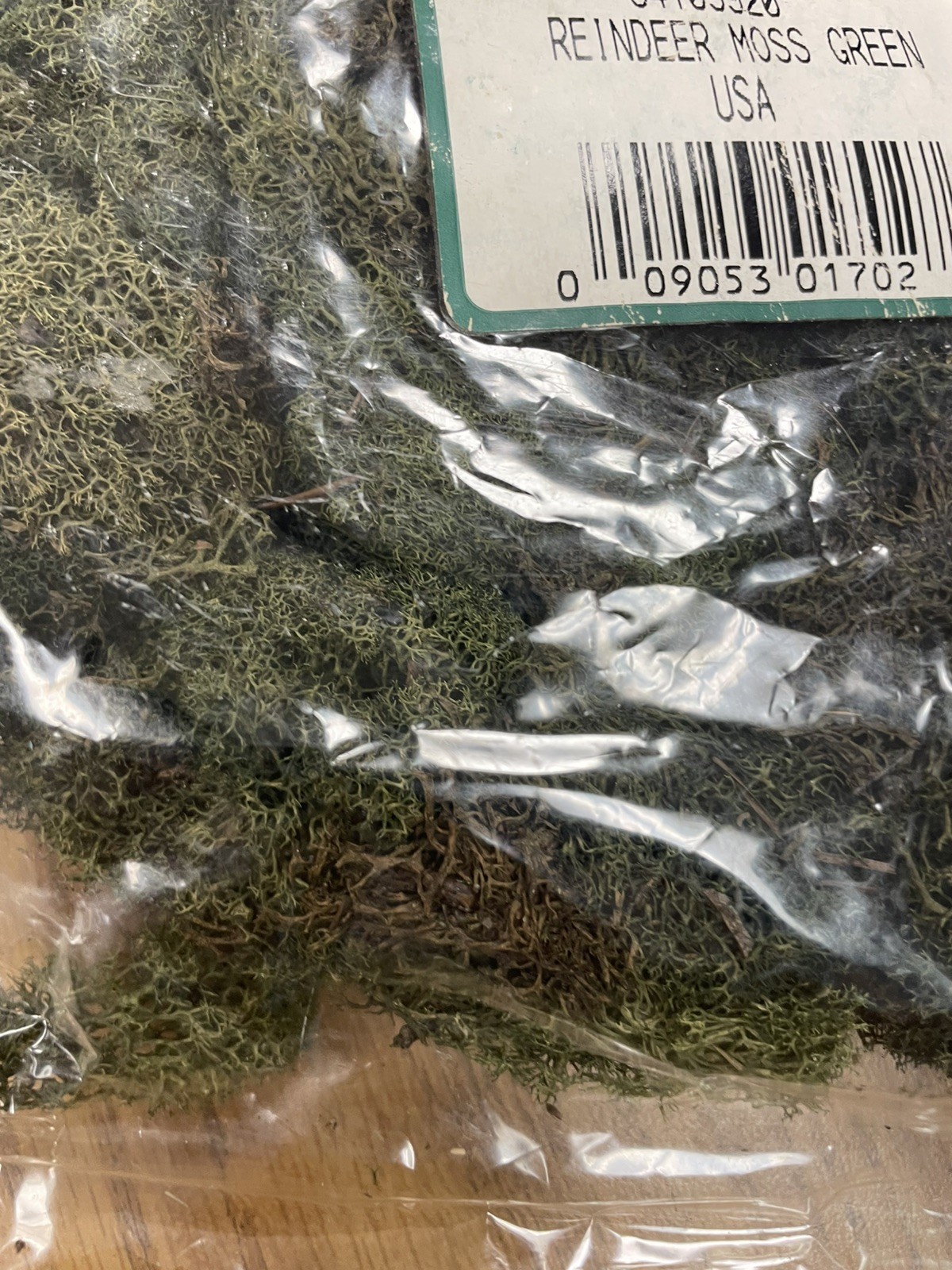 PRESERVED NATURAL REINDEER MOSS GREEN FOR CRAFTS VILLAGES & RAILROAD DISPLAYS