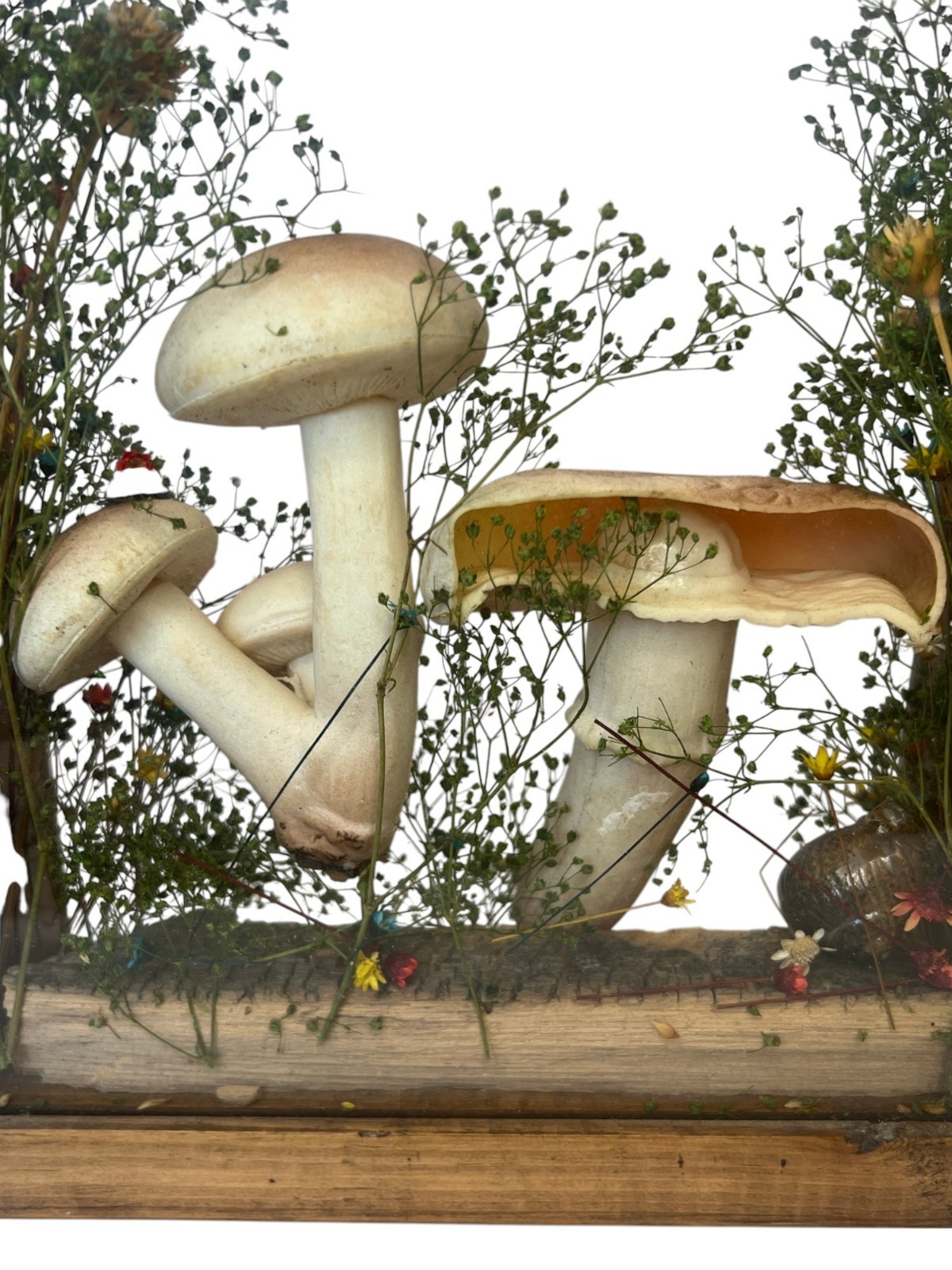 Vtg Cottage Core Mushroom Shadow Box Wood 1970s Decor Fairy Garden MCM Merry