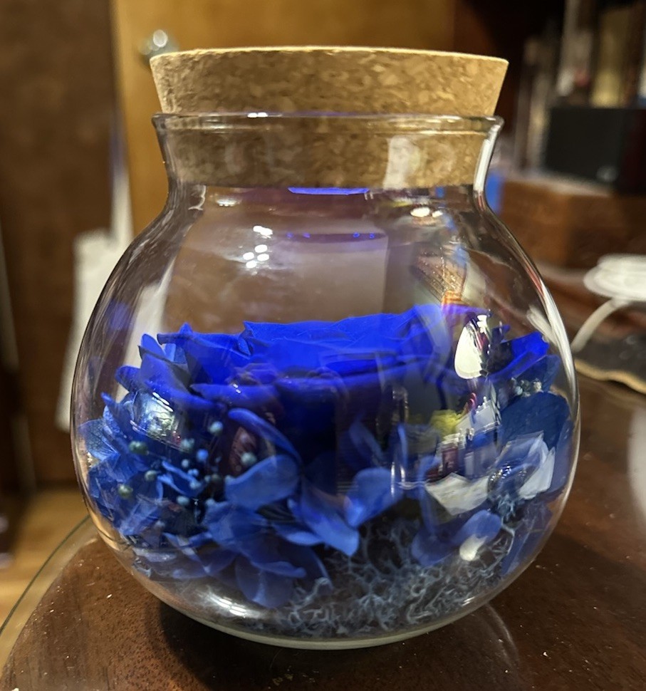 Blue wishing rose/eternal rose with light decoration