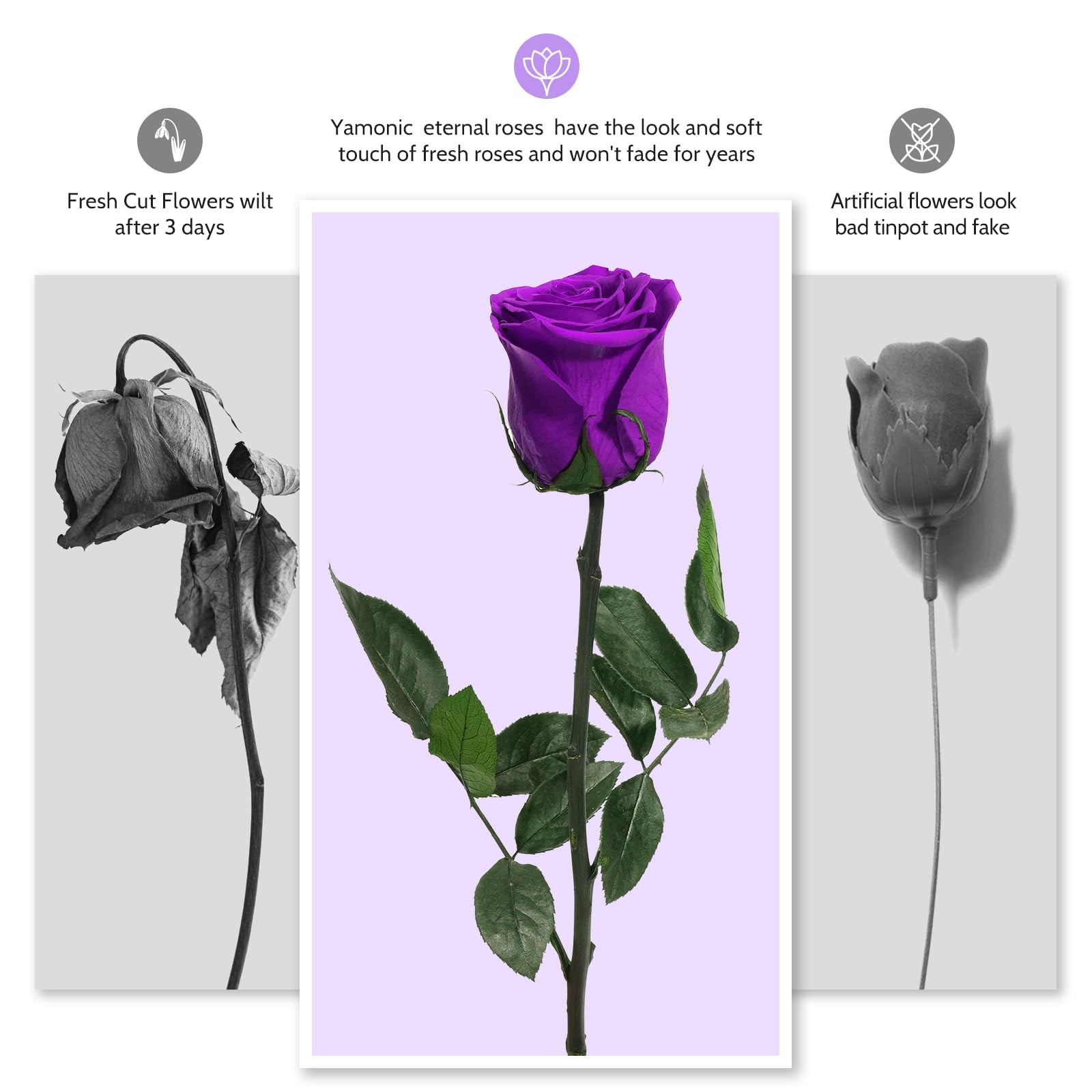 Yamonic Preserved Flowers Rose Birthday Gifts for Mom Women,Mothers Day Rose …