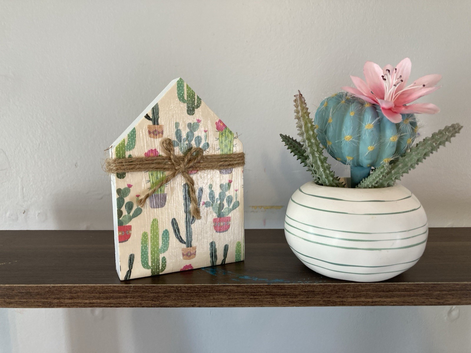 Succulent Tabletop Decor