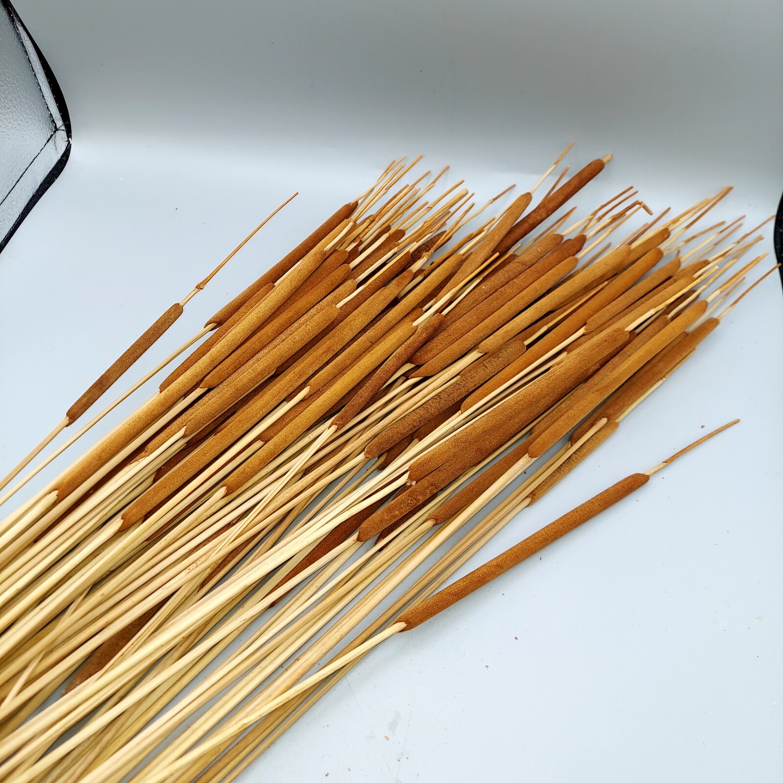 10 Dried Flower 30″ tall Cattail Stick bamboo Flower Arrangement birch branch