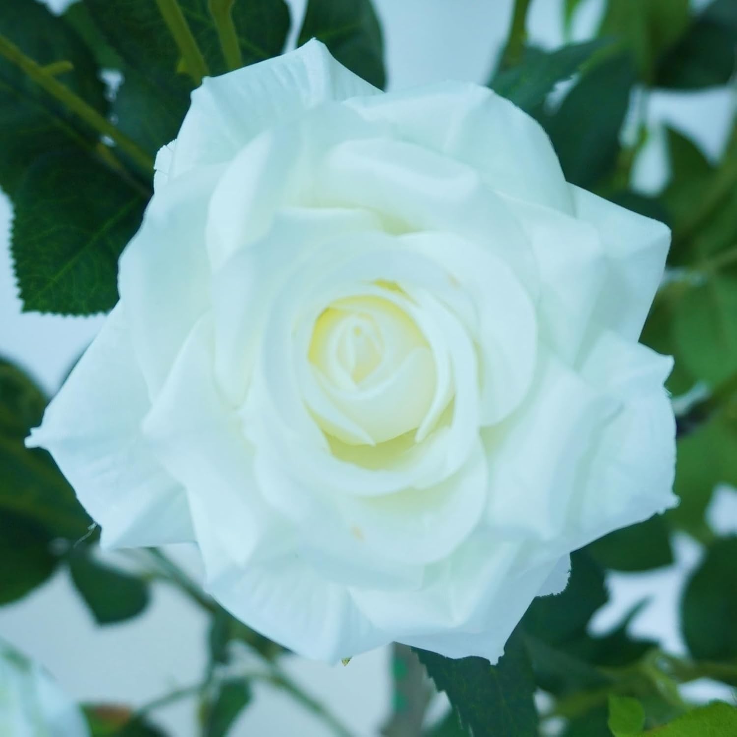 2-Pack 1.2m Artificial Rose Blossom Trees with Green Leaves for Indoor/Outdoor
