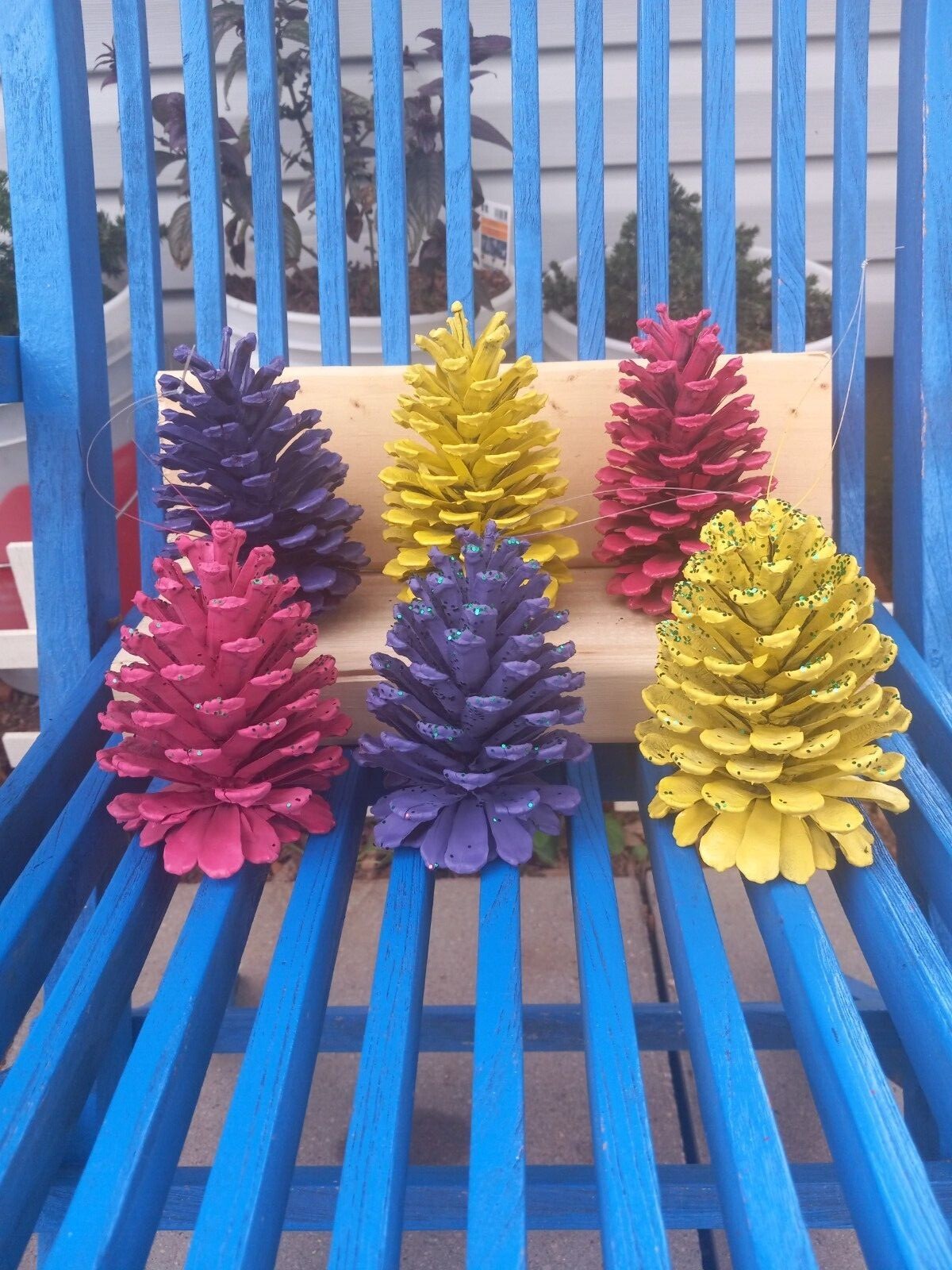 Hand painted pinecones,  various colors.  Set of 6 or 12. Fun holiday decor.