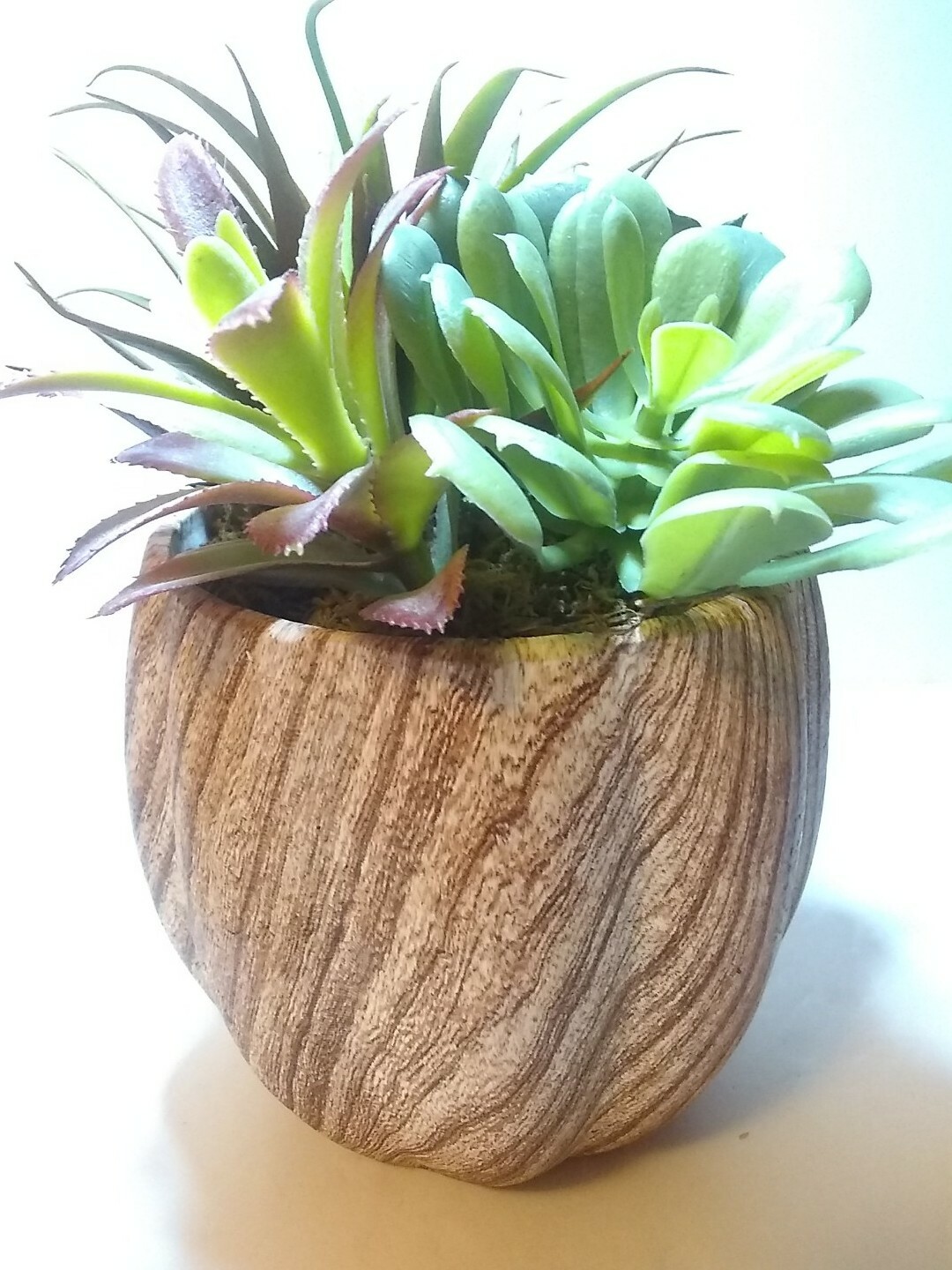 New Ceramic Planter w/ Faux Succulent Plant Decor, Brown & Cream 8 “