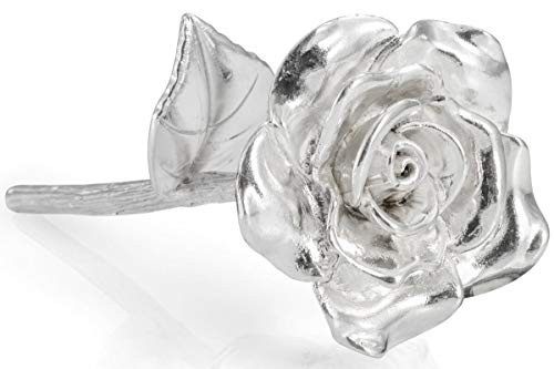 Beszone Tin Rose 10Th Anniversary For Her Gift – Tin Gift 10 Year Wedd