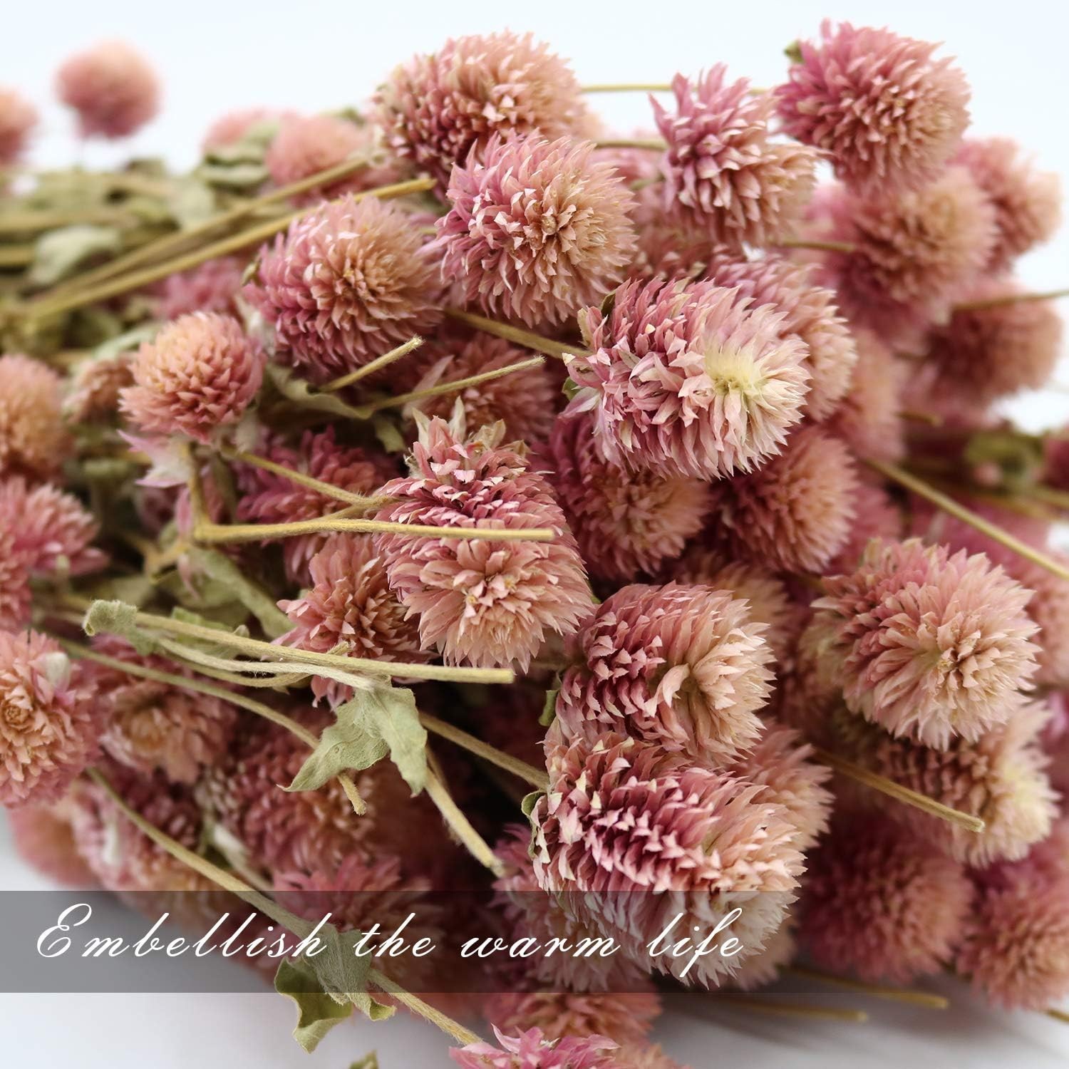White Globe Amaranth Dried Flower Bundles Natural Home Party Decor Pink