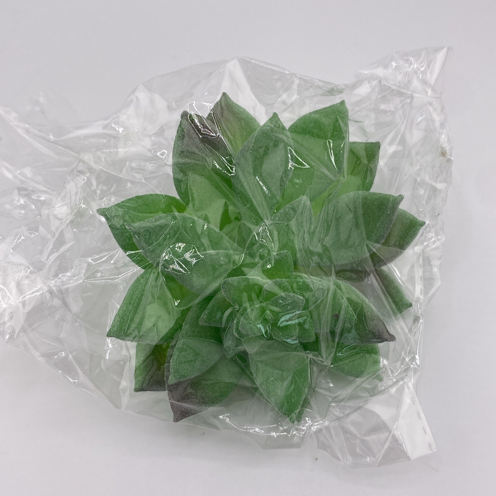 Lot Of 16 Plastic Succulents! Home Decor, Never Used! Make Great Accents! Green!