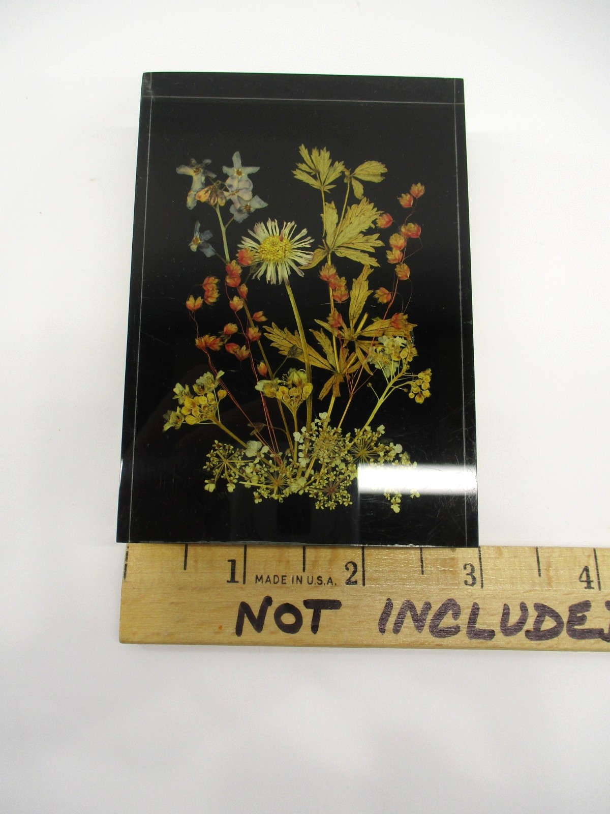 Vtg Lucite Pressed Dried Flowers DINA-Brilliant #1710 10×7 cm W. Germany Picture