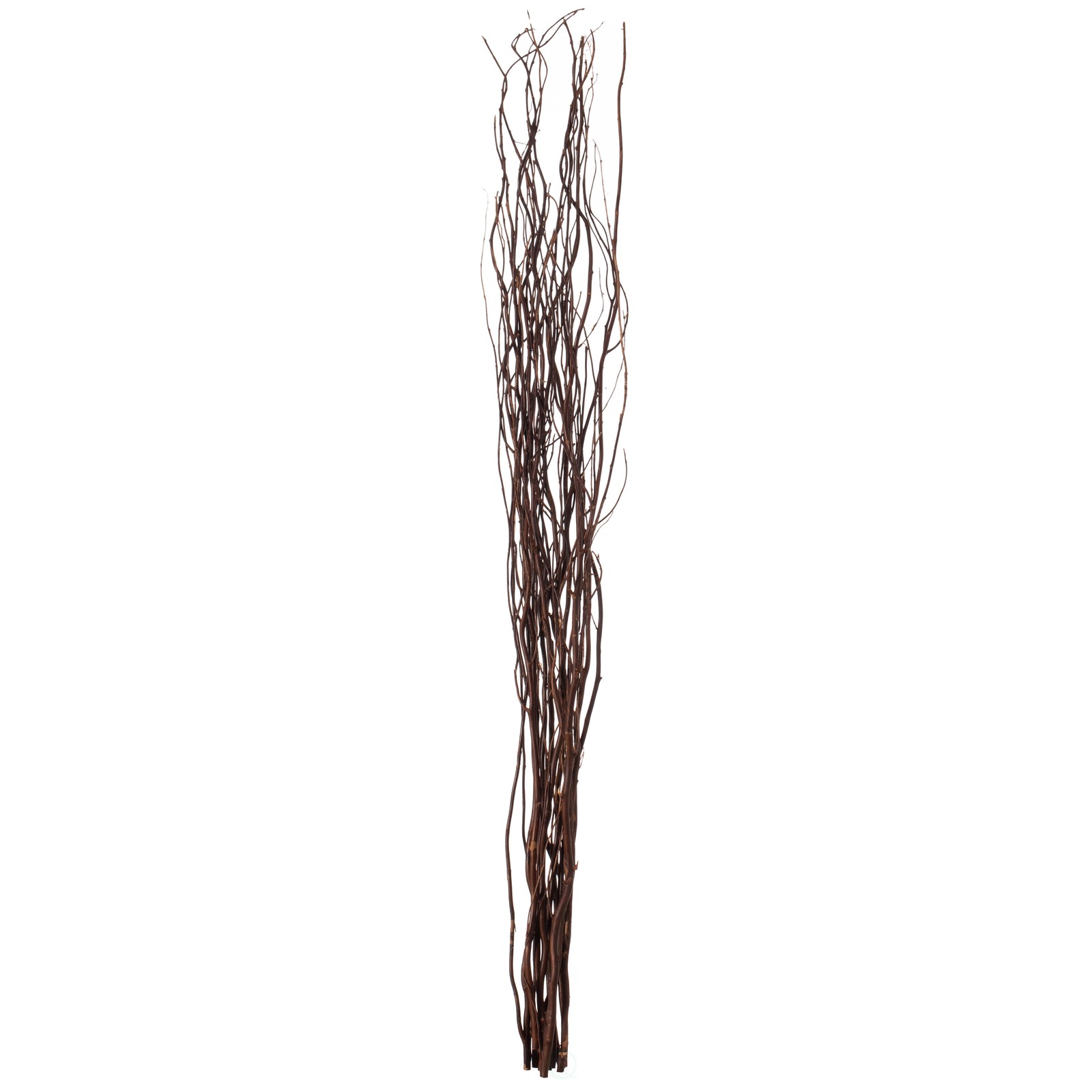 Decorative Dry Branches Authentic Willow Sticks for Home Decoration, 12 Pieces