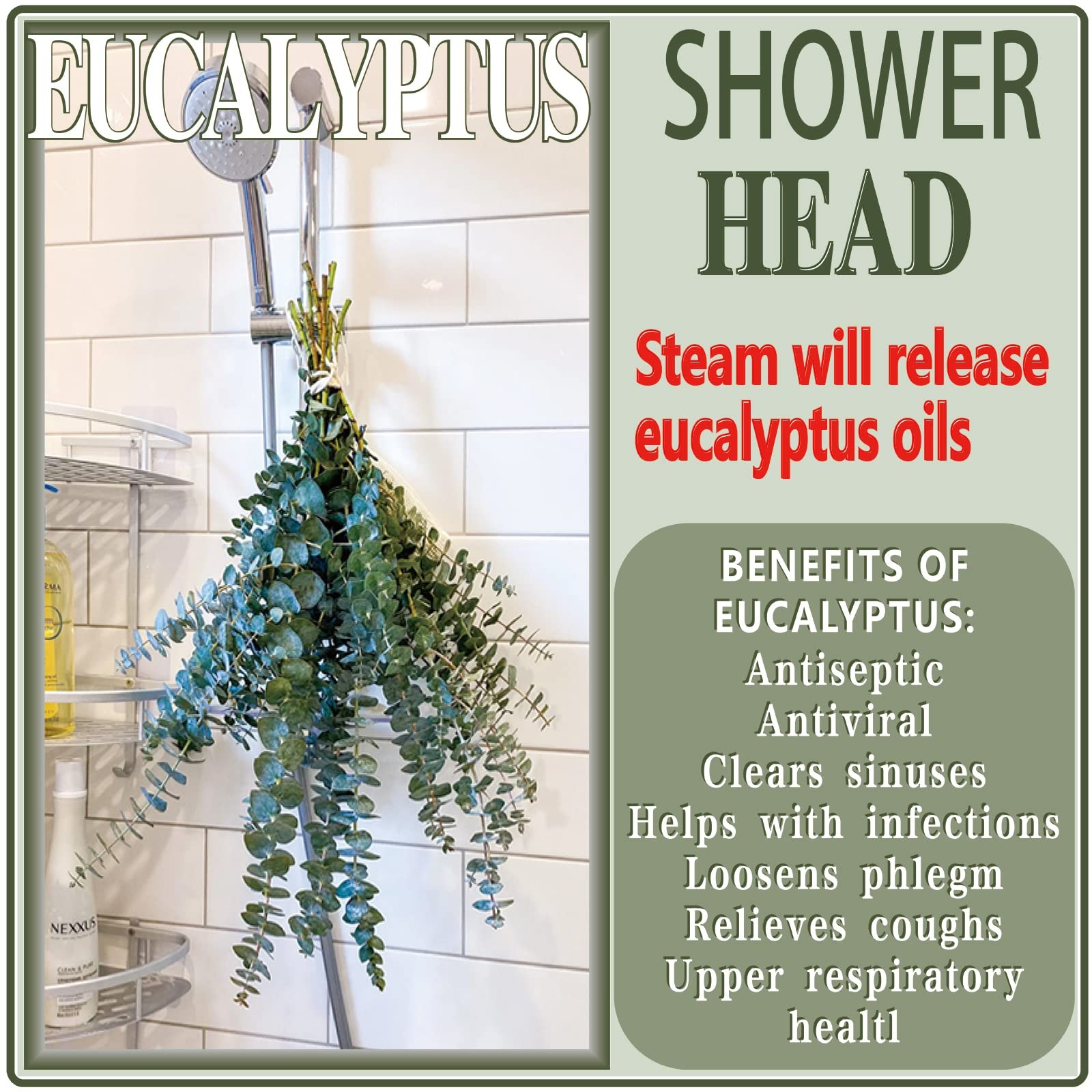 20 Pcs Preserved Dried Eucalyptus Stems, 17″ Natural Fresh Eucalyptus Branche…
