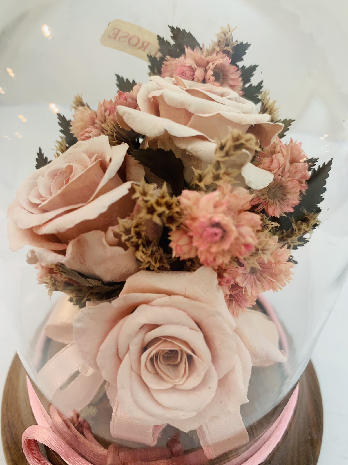 Vintage Preserved Real Pink Roses in Glass Case *4 in x 5 in*