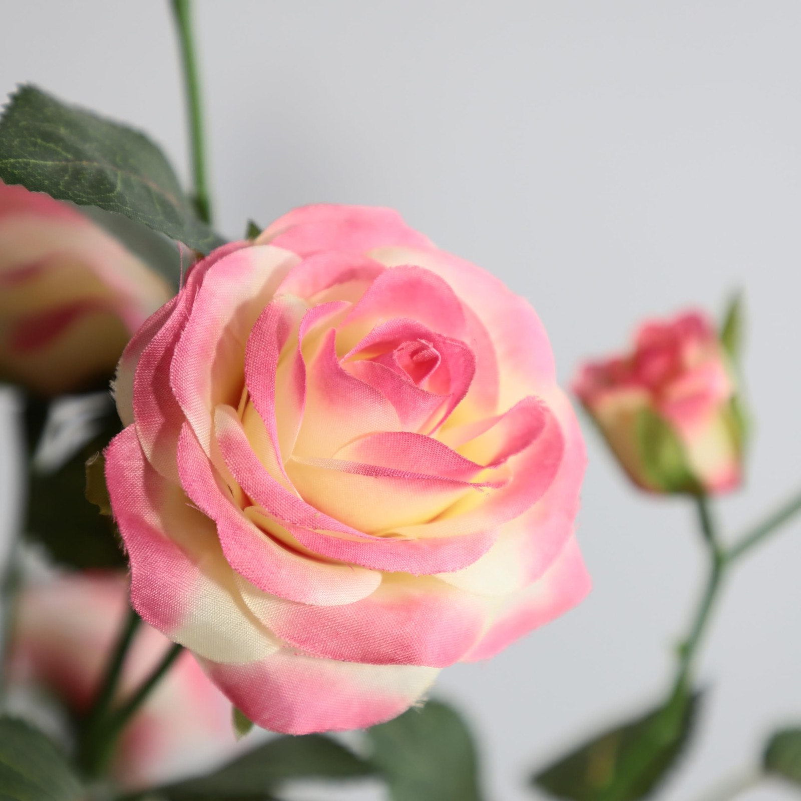 Artificial Rose Plant 25 Inch Tall Fake Silk Rose Flower Set of 2 Faux Trees …