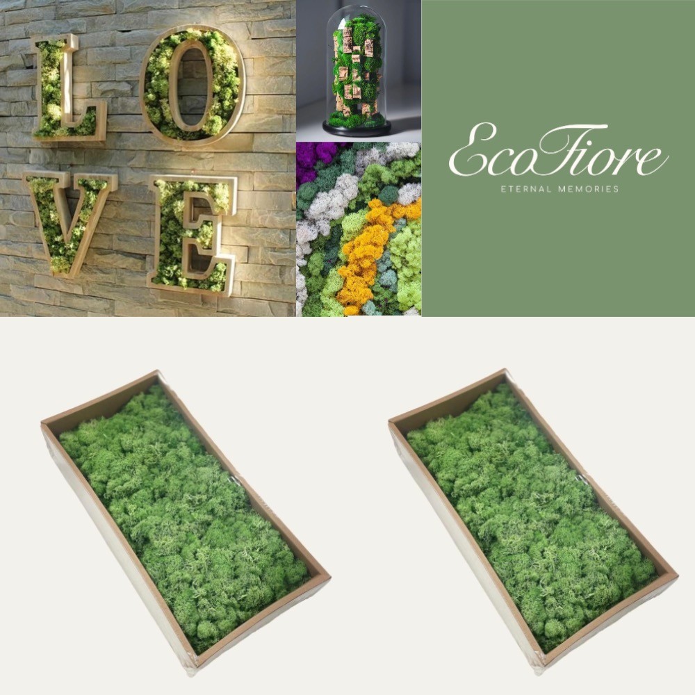 Moss Preserved DARK GREEN – Fairy Gardens Terrariums, Craft, DIY, Floral 1Kg
