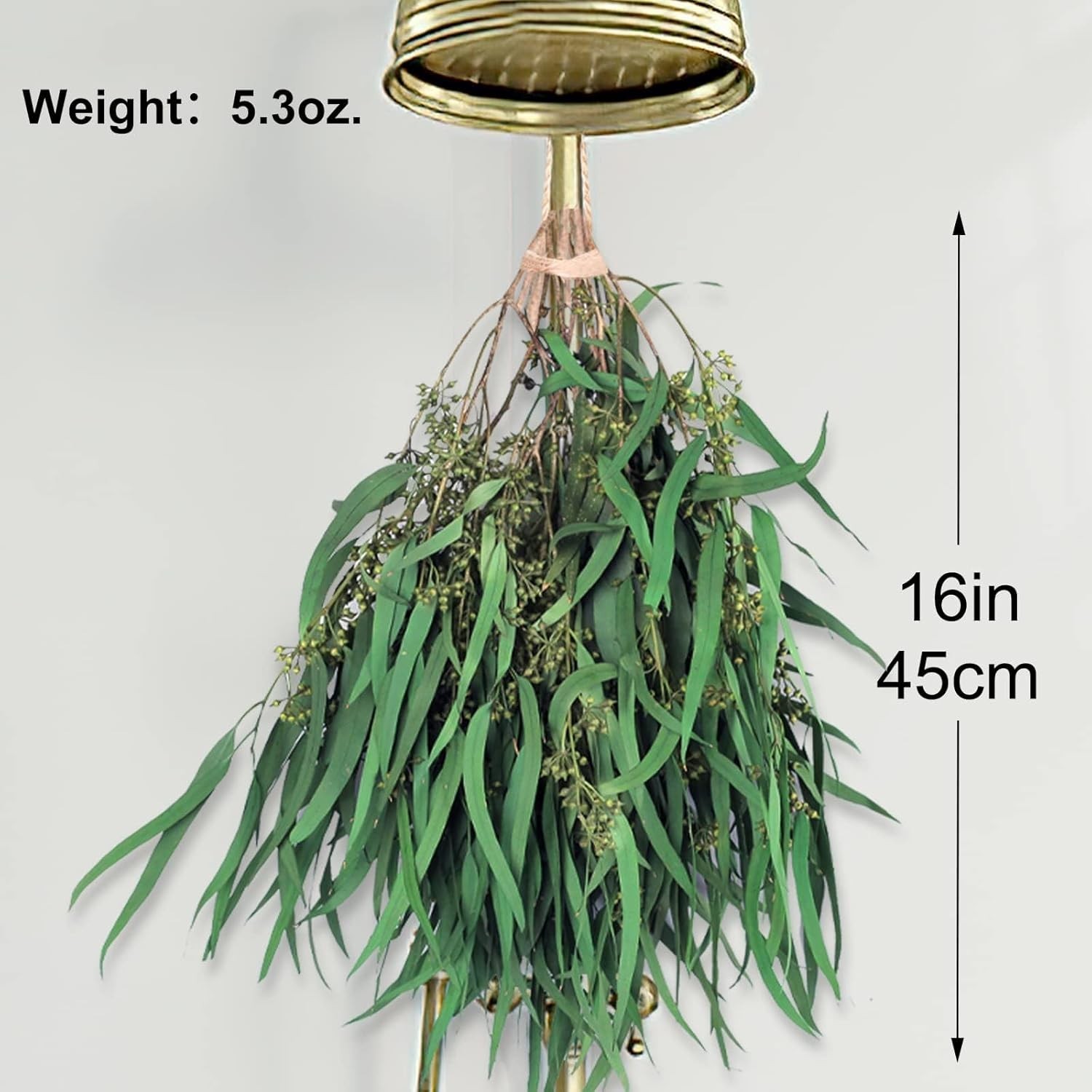 17” Real Dried Seeded Eucalyptus Stems for Shower, Preserved Natural Eucalyptus