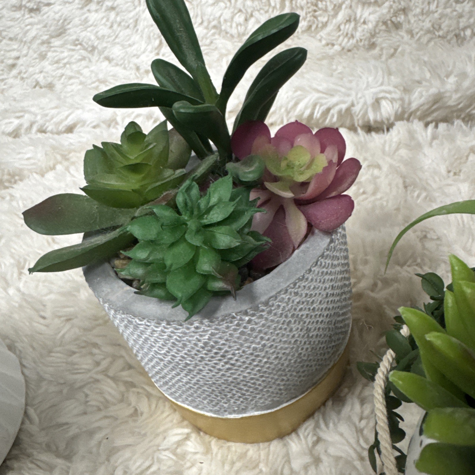 Lot Of 4 Artificial Succulent Plants 3 Vase 1 Hanging