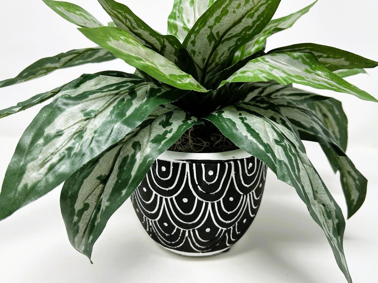 Silk Silver King SWORD plant in Black Ceramic Pot, handmade original by Lower Fo
