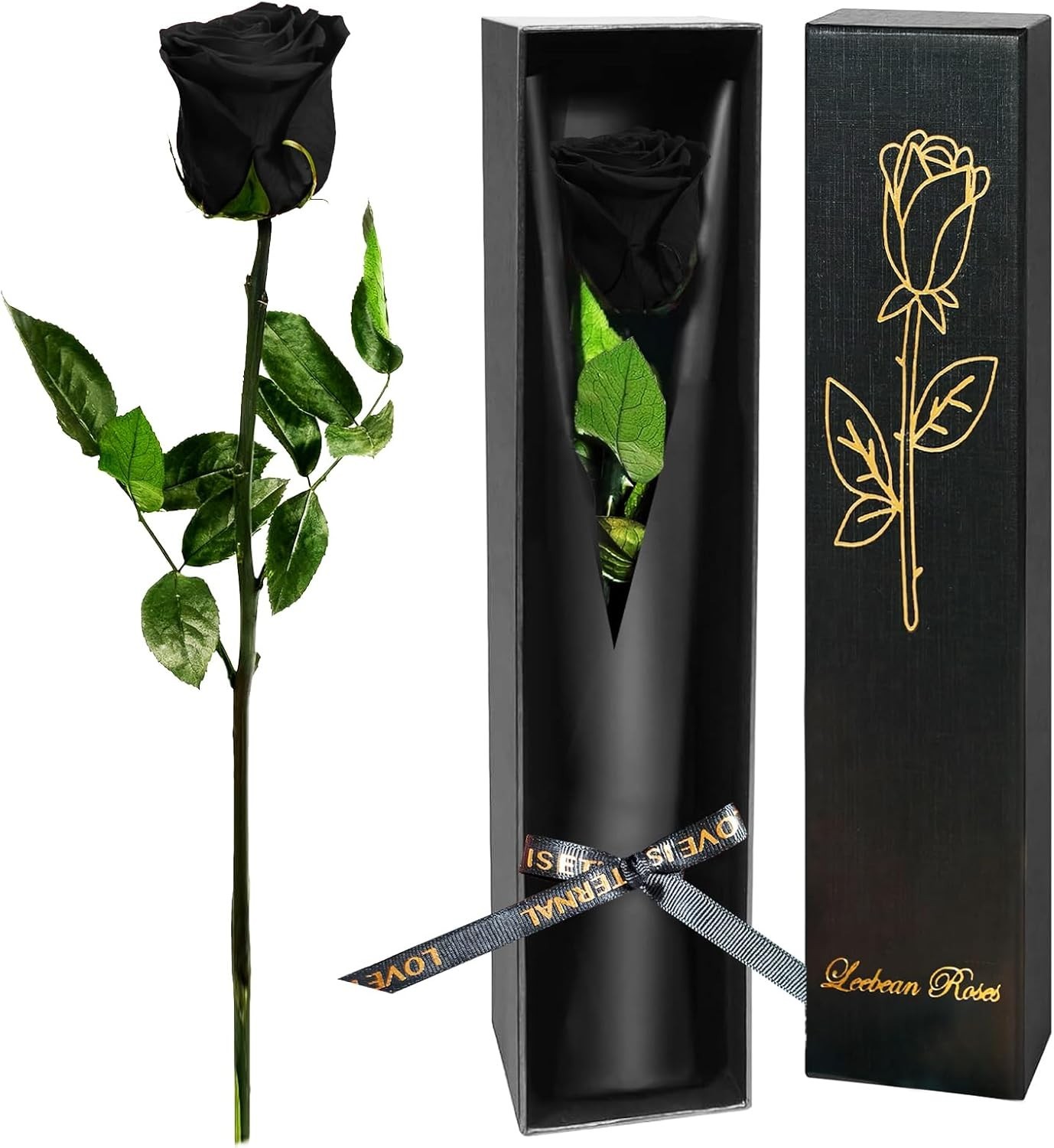 Black Preserved Roses for Delivery – Single Flower Gifts for Her
