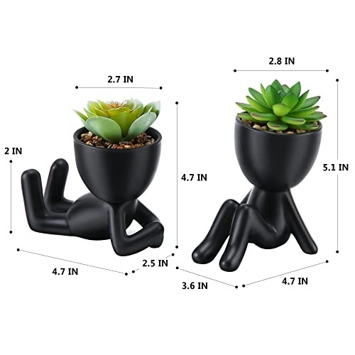 Fake Succulent, Mini Succulents Plants Black Ceramic Pot a Green Succulent
