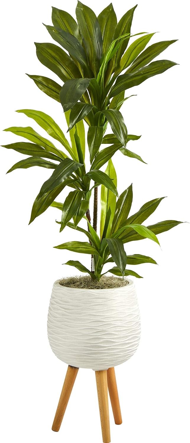 46in. Dracaena Artificial Plant in White Planter with Stand (Real Touch)