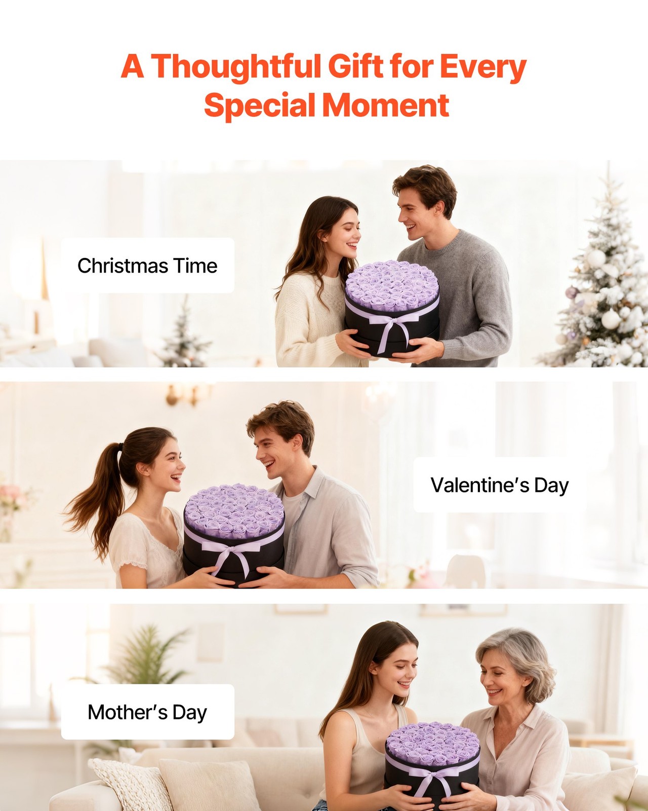 50 Preserved Violet Roses in Box – Eternal Flowers Gift for Her