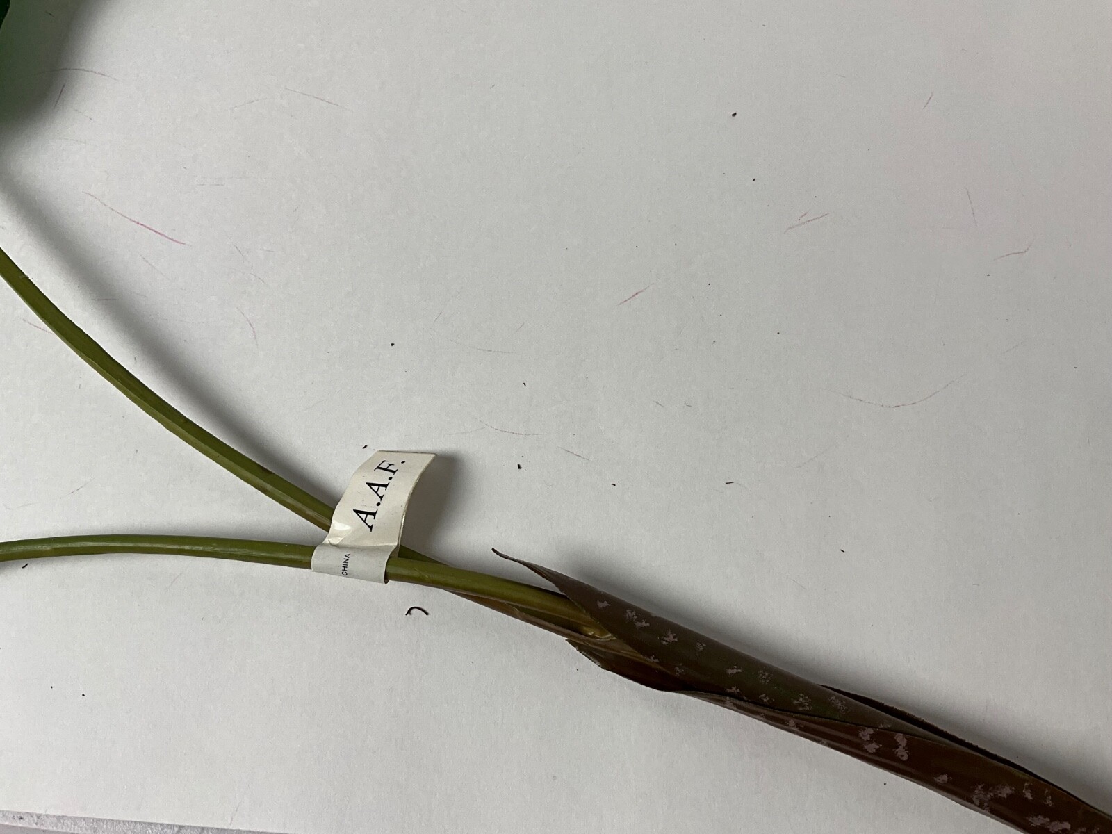 2 Leave Artificial Calla Lily Plant Stems NWT 27 inches long