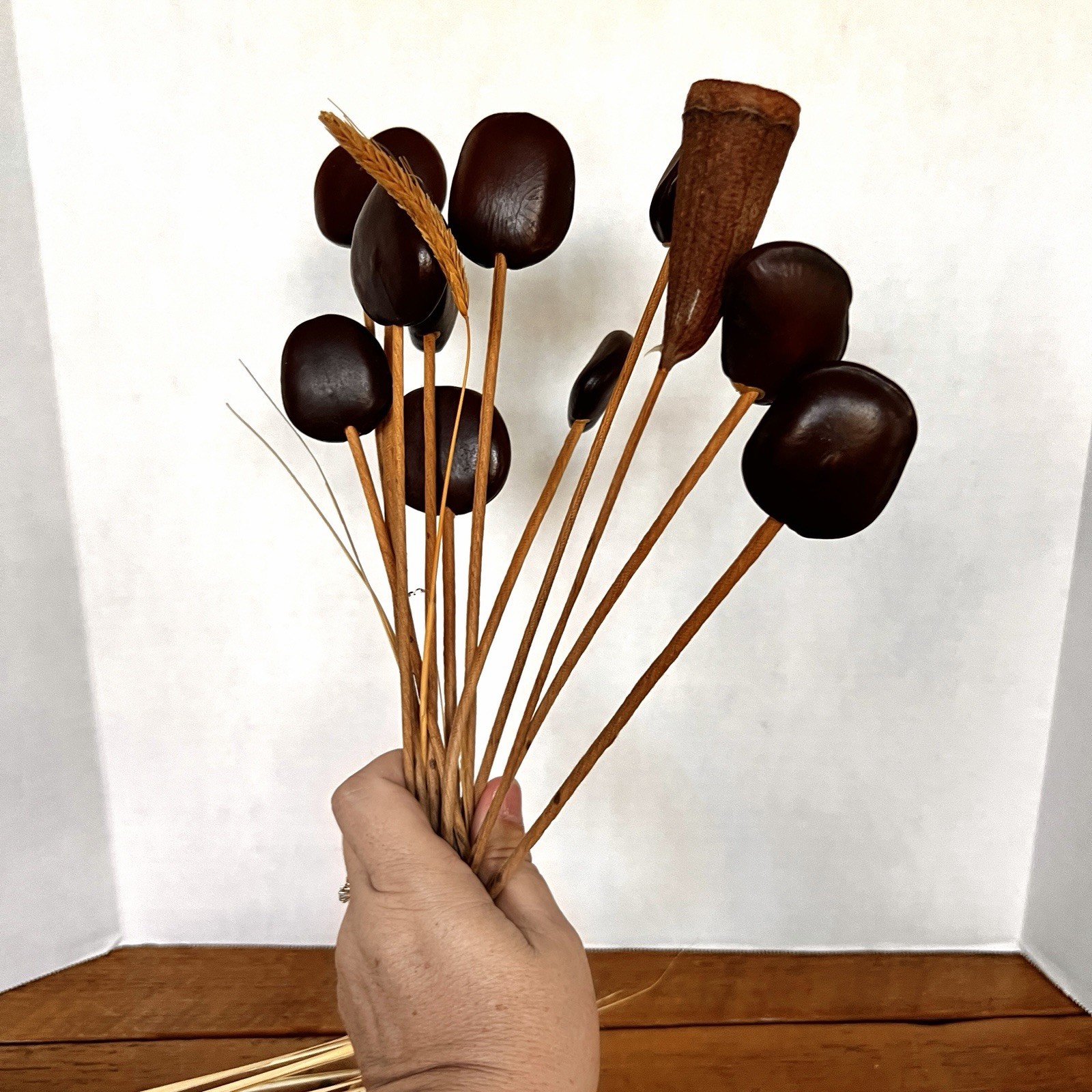 Wood Seed Pods W/Stem (11x) For Floral Arrangements Vases Decor MCM