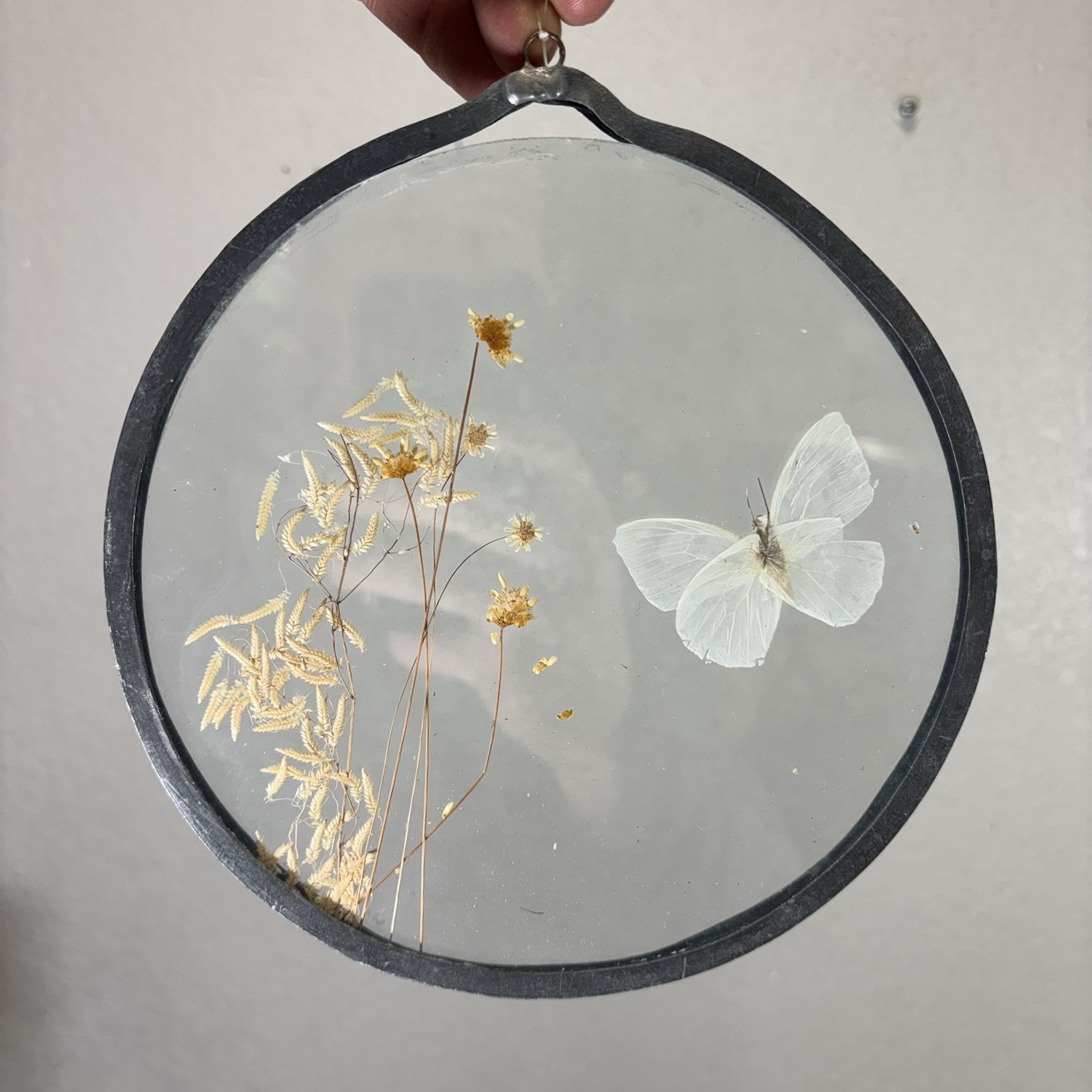 VTG Pressed Flower Butterfly Suncatcher Beveled Glass Decoration Boho Cottage 7”