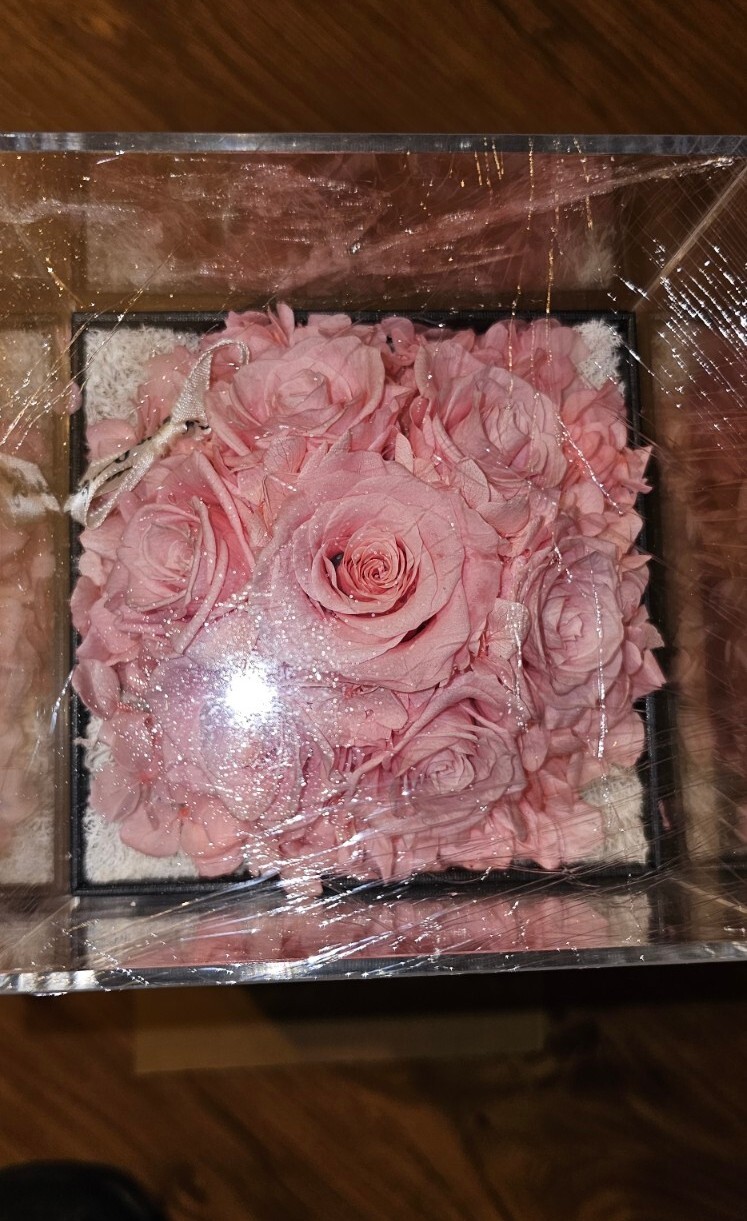 Agrul Preserved Real Roses Gifts for Her Women Pink Eternal