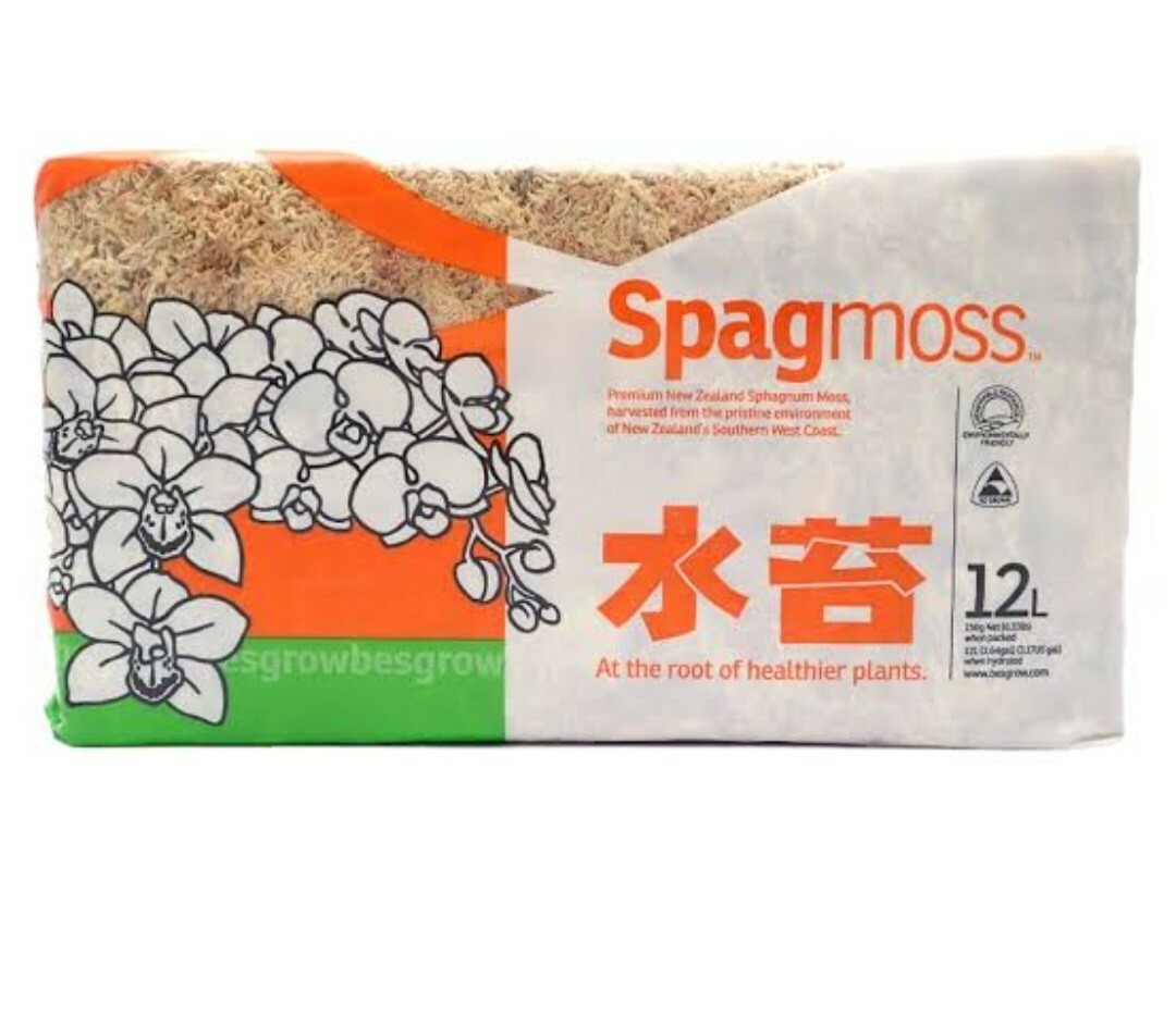 Sphagnum Moss Nursery Orchid Plant New Zealand Besegrow Long Fiber Decorationx 6