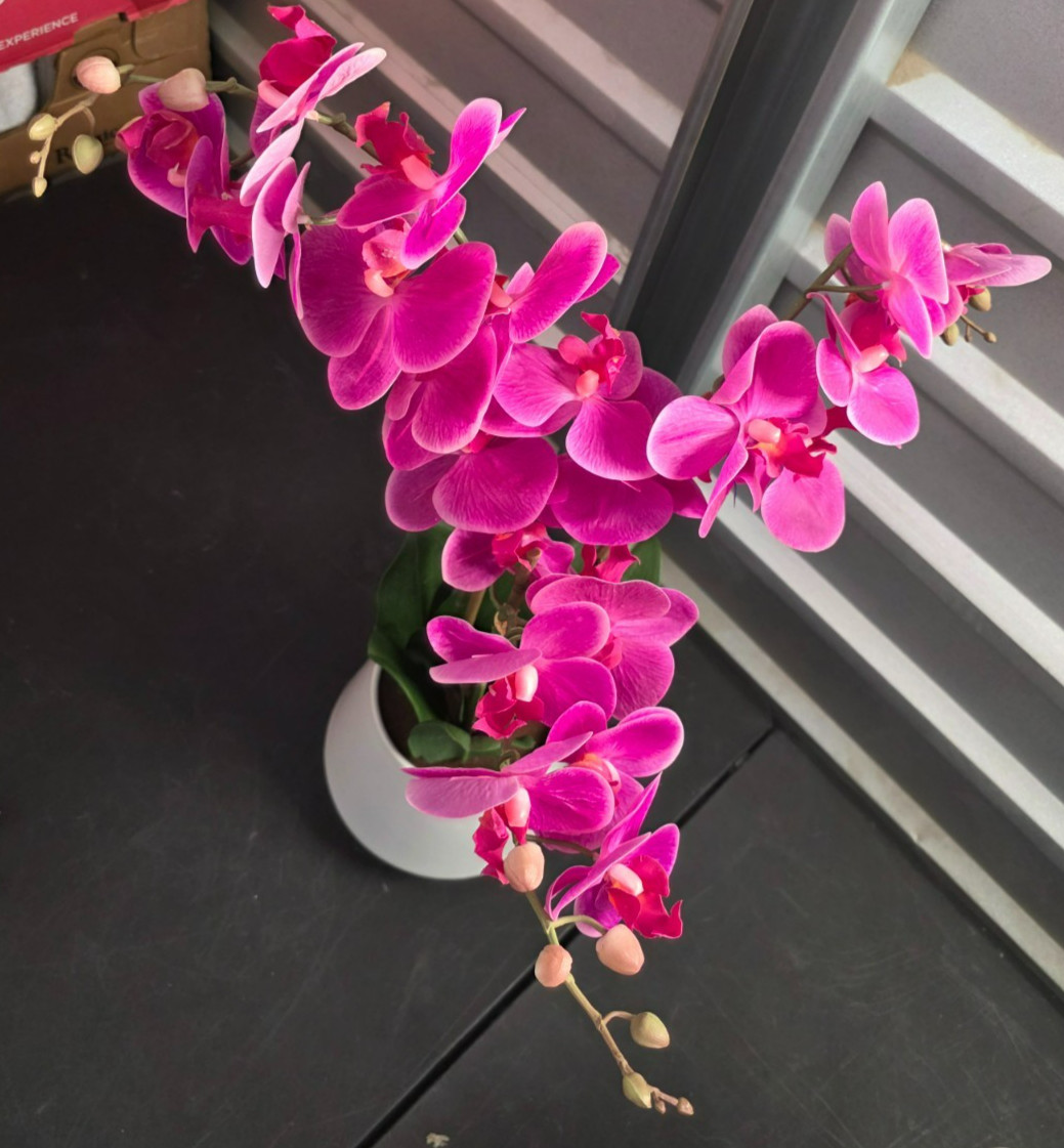 Beaumont Designs 3-stem Artificial Orchid – Pink – 1594010 – 1356615 – 1518077