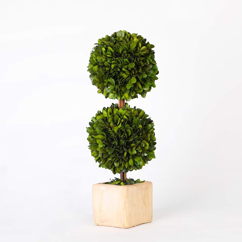 Potted Preserved Boxwood Topiary Green Plant for Home Decor Double Ball Shape 12