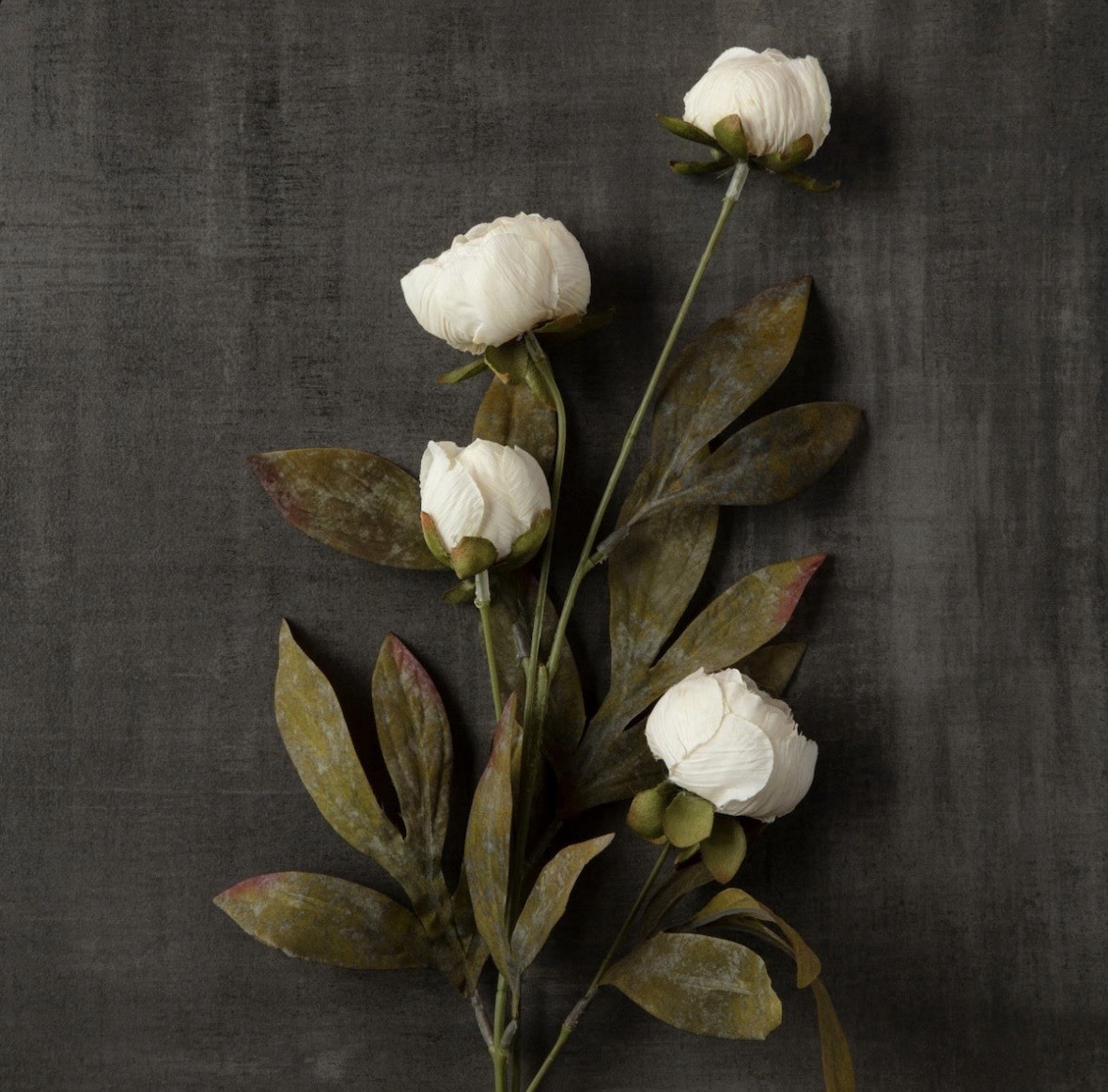 Peonies Michaels Cream Viral Ashland 8 Stems TikTok Sold Out 32 Flower HTF Peony