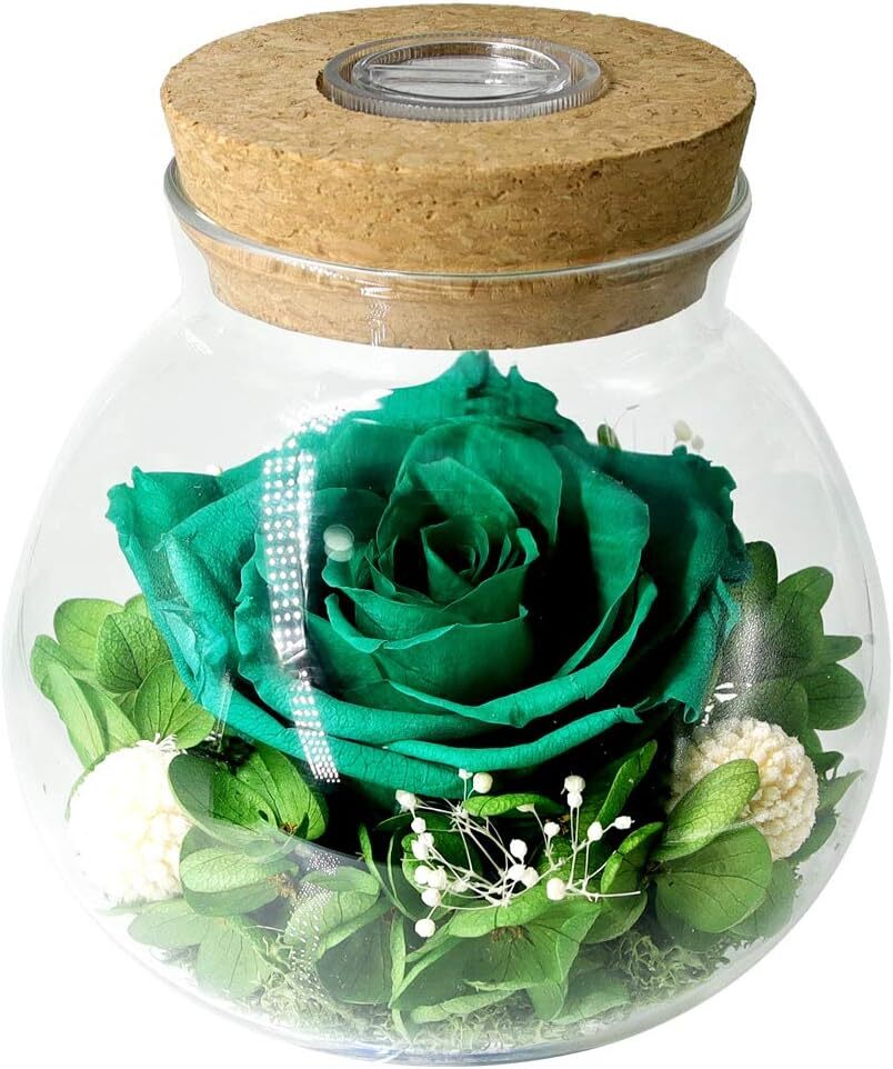Preserved Real Roses with Colorful Mood Light Wishing Bottle, Eternal Rose，Never