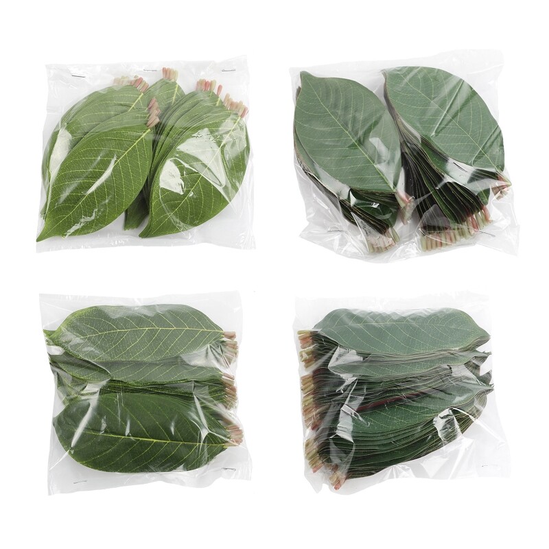 Artificial Magnolia Leaves Fake Single Leaf Picks for Magnolia Green Leaves