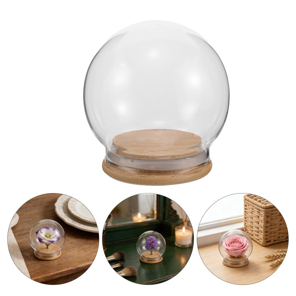 2Pcs Clear Glass Dome Cloche Covers for Miniature Display and Dust Protection