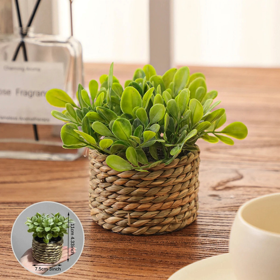 1pc Artificial Eucalyptus Grass Small Potted Plant 11cm Home Decor – NEW