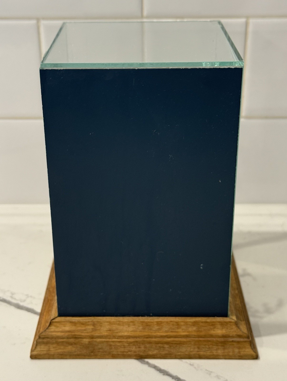 Glass Display Terrarium Butterfly (Faux) Dried Florals Wood Base CottageCore