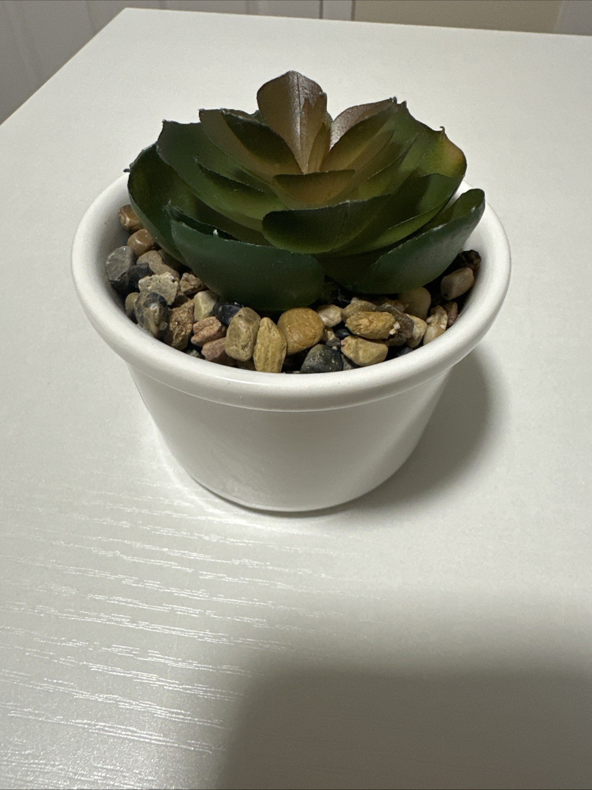 Artificial Succulent Plant in White Ceramic Pot – Small Desk Decor – Used