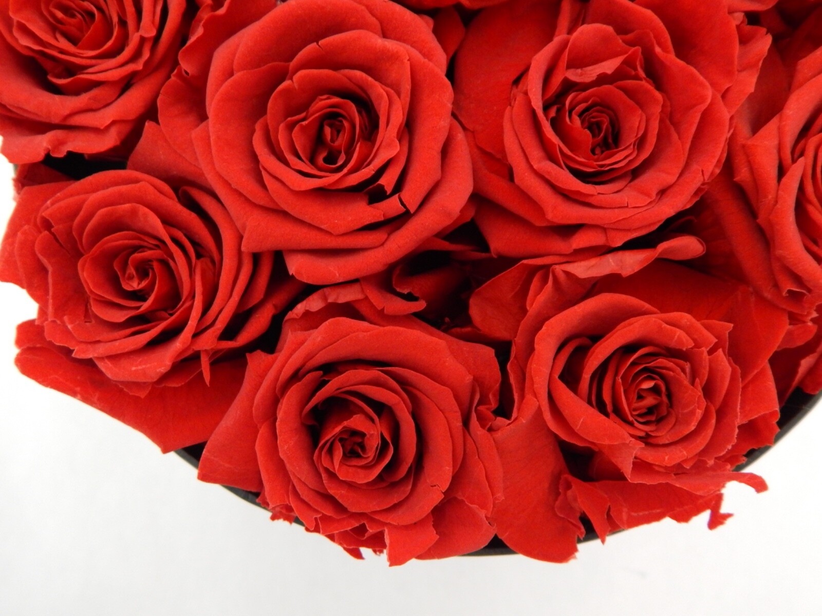 VLove® Forever Preserved Roses in a Box Real Forever Flowers Eternal Rose Red