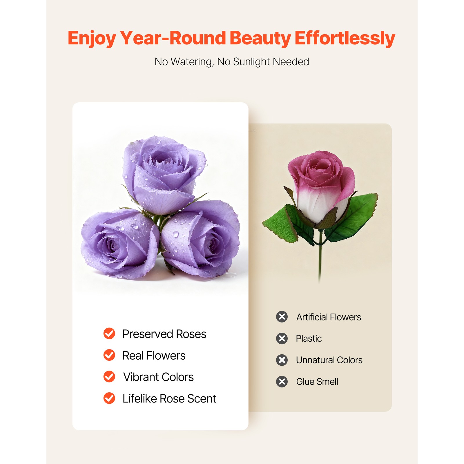 Uimoso 50 Preserved Roses in Round Box – Eternal Lavender Purple Flowers