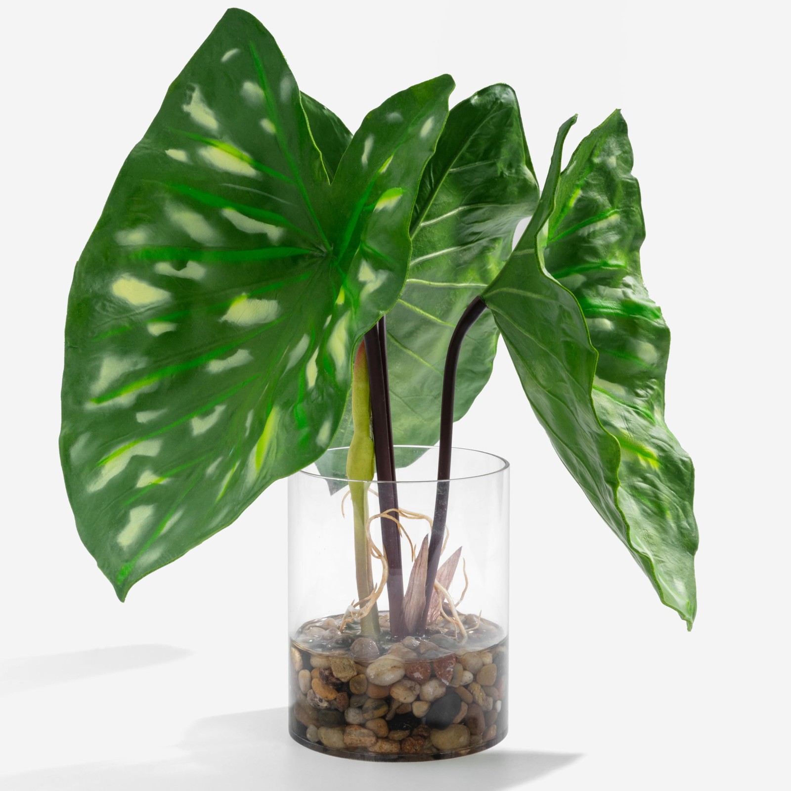 Tropical Artificial Plant in Clear Pot with Artificial Water, Wide Arrowhead …